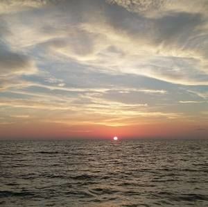 Meet your Posher, Paul